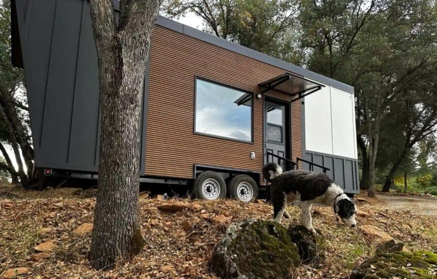 Compact tiny house with modern design and large window in a natural setting.