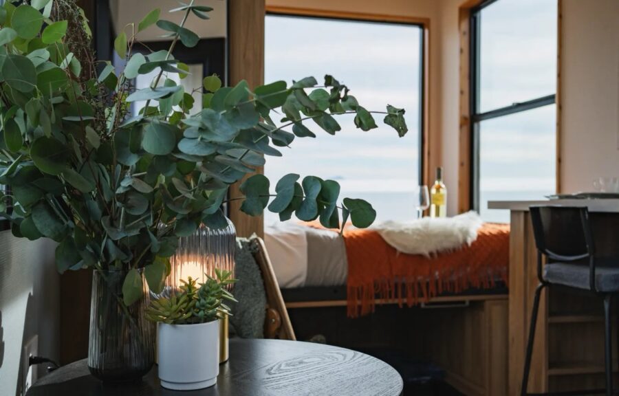 Cozy tiny home interior with large windows and lush plant decor.