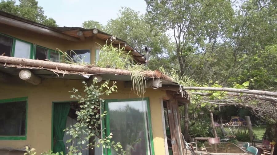 Exterior of the cob home showing the new living roof