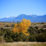 Colorado Tiny House Lot for Rent