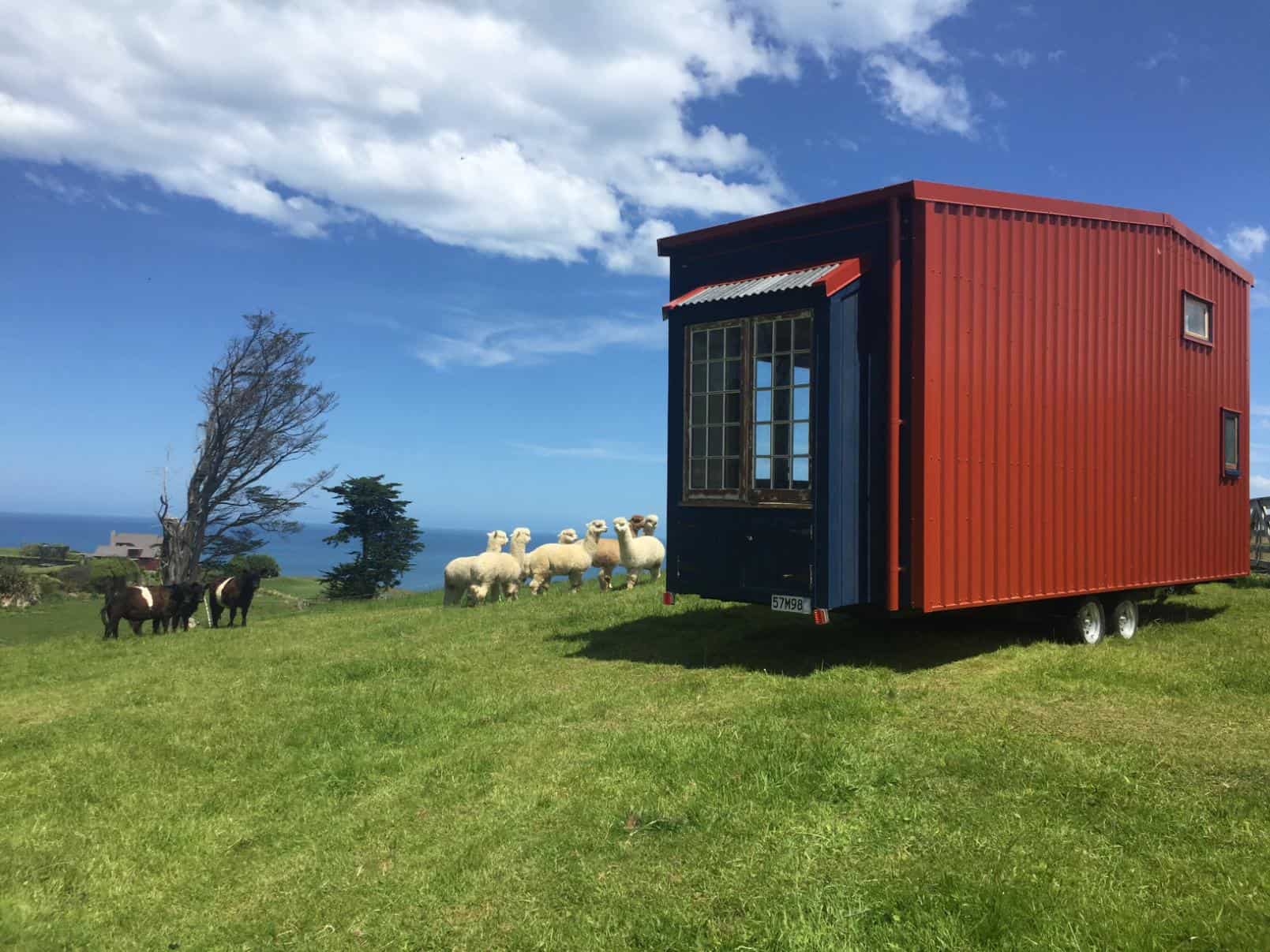 Tiny House and Skoolie in New Zealand
