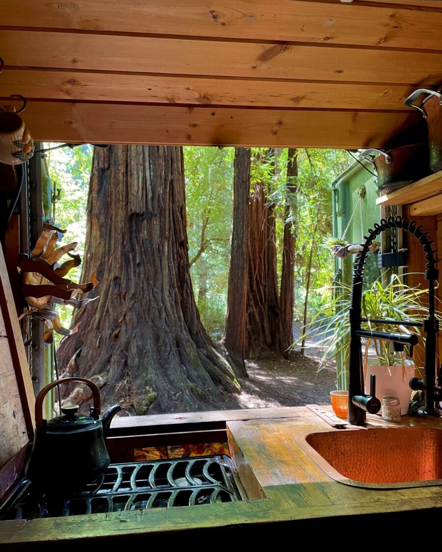 Couple Lost Everything & Built Tree House Bus 2