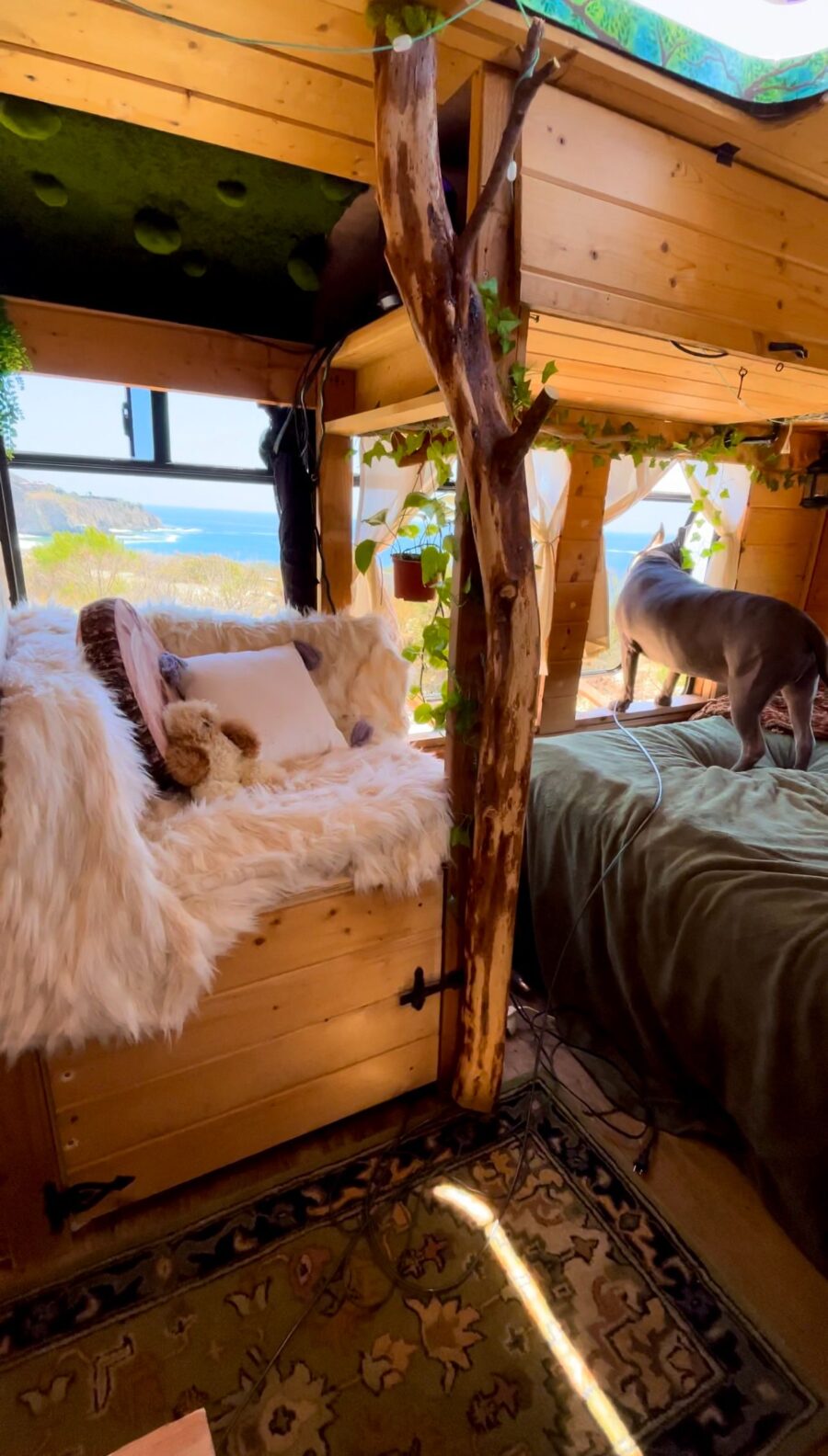 Couple Lost Everything & Built Tree House Bus. 6