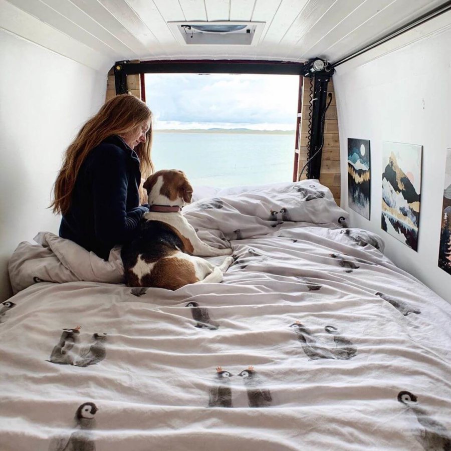 Couple & Their Beagle Travel Europe in their Sprinter Van Renovation 19