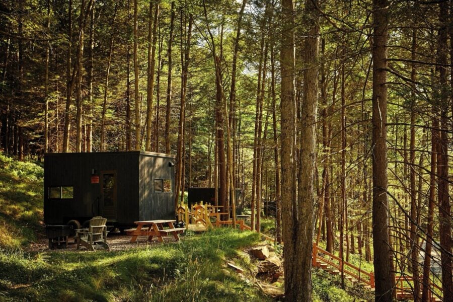 Cozy Postcard Cabins in Piney Woods 0023