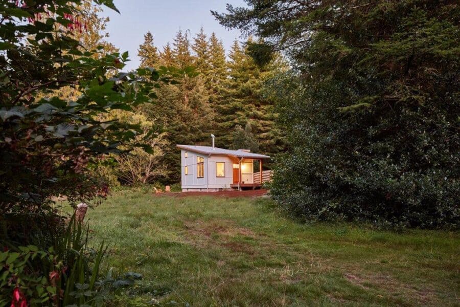 Tiny house nestled among trees in a peaceful natural setting.