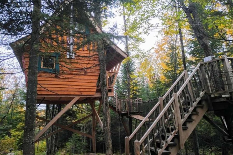 Enchanting Chalet in the Trees 7