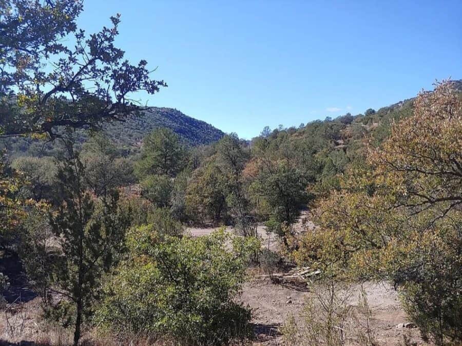 A-frame cabin nestled among trees in Fort Davis, Texas, on 6 acres of scenic land.