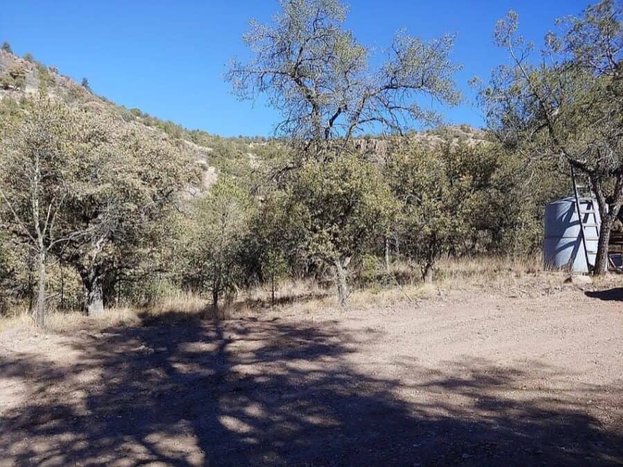 Small cabin surrounded by trees on a rural property in Fort Davis, Texas.