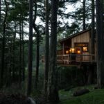 Fort Ebey Treehouse 5