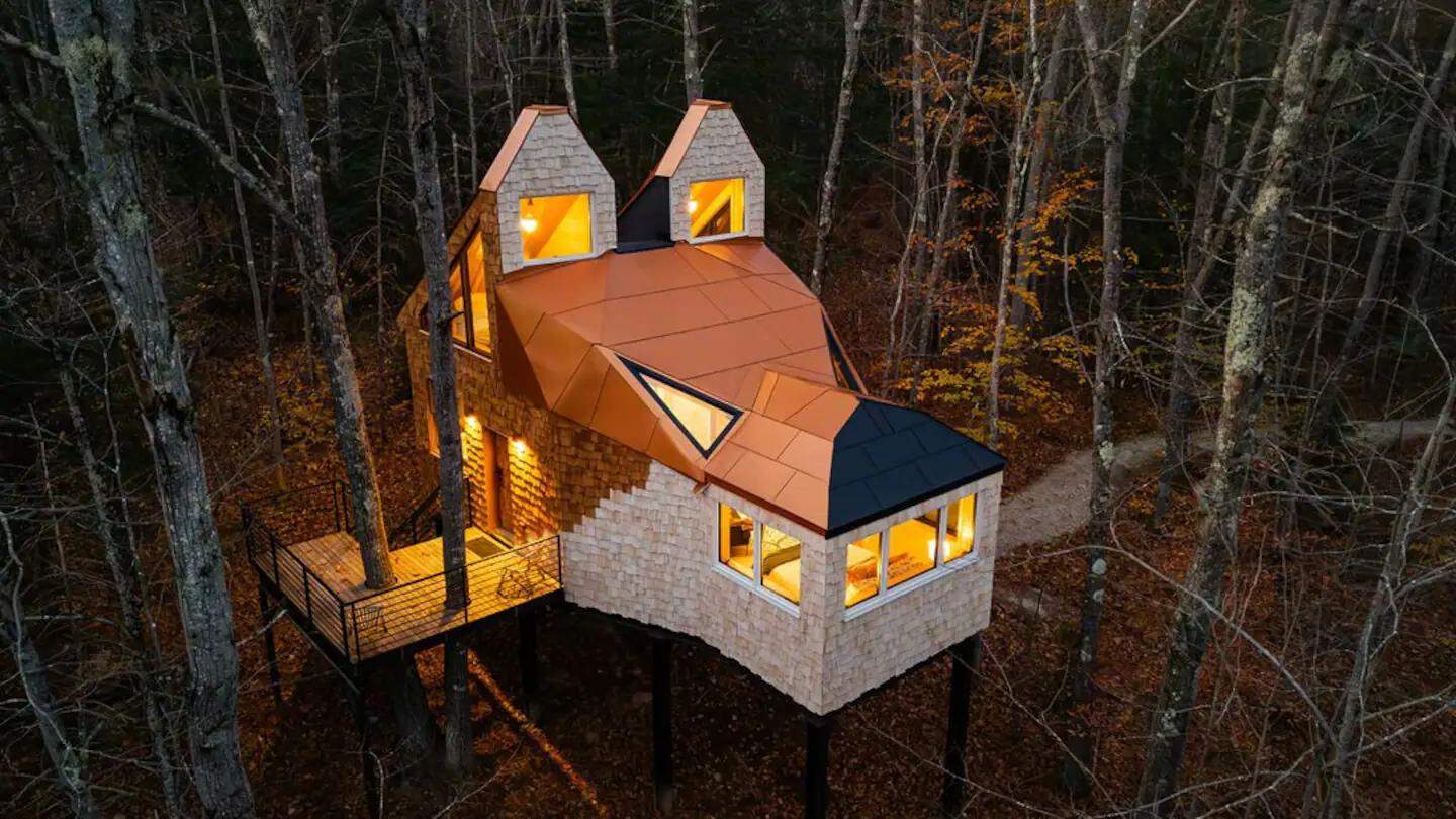 Tiny Fox Head Cabin in the Woods