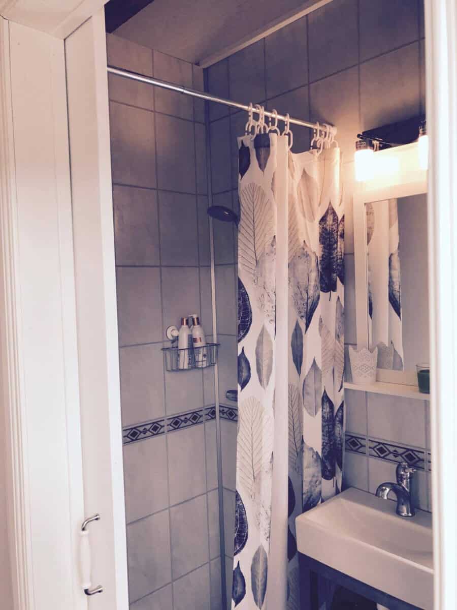 Small Icelandic guesthouse bathroom with shower, sink, and modern decor.