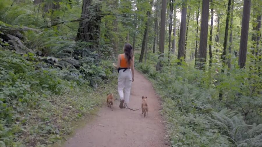 Woman walking her dogs on a forest trail with a tiny house in the background.