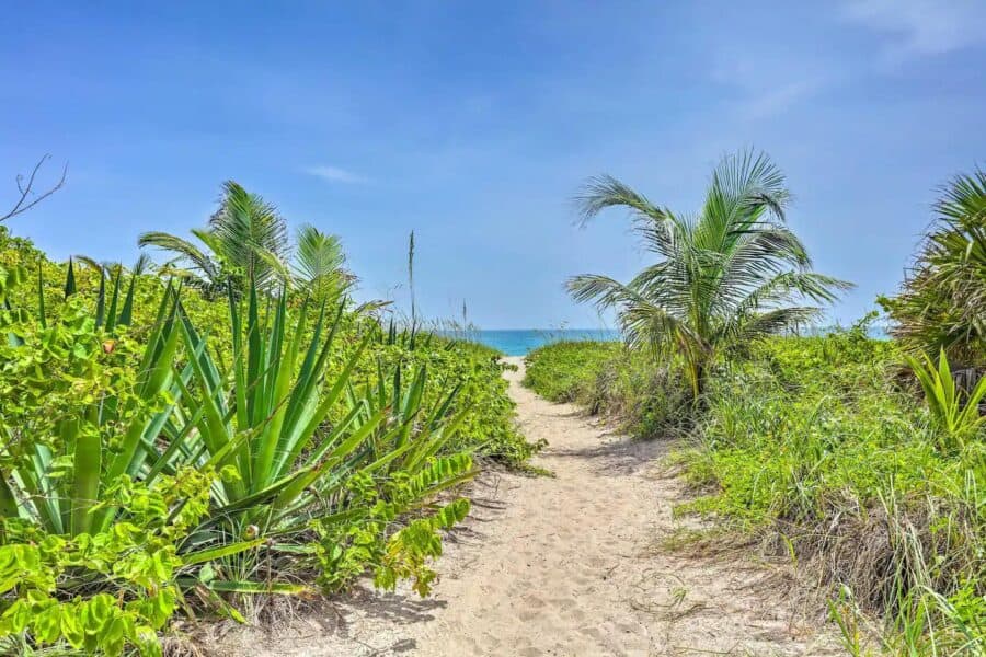 Coastal tiny house surrounded by lush greenery and palm trees on Hutchinson Island, Florida.