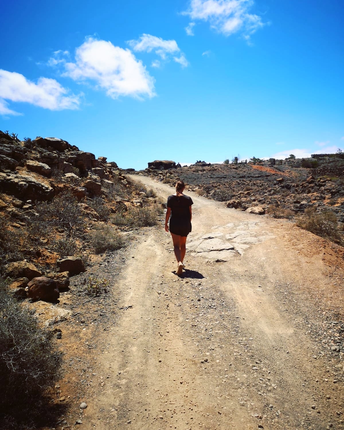 One Girl’s Footprint: Sarah & Her Dogs on a Volcanic Island 2