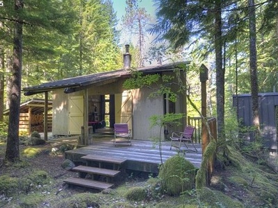 Off Grid Tiny Cabin in Rhododendron