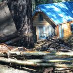 Jazz Musician’s Tiny Home Swept Away By Floodwaters 5