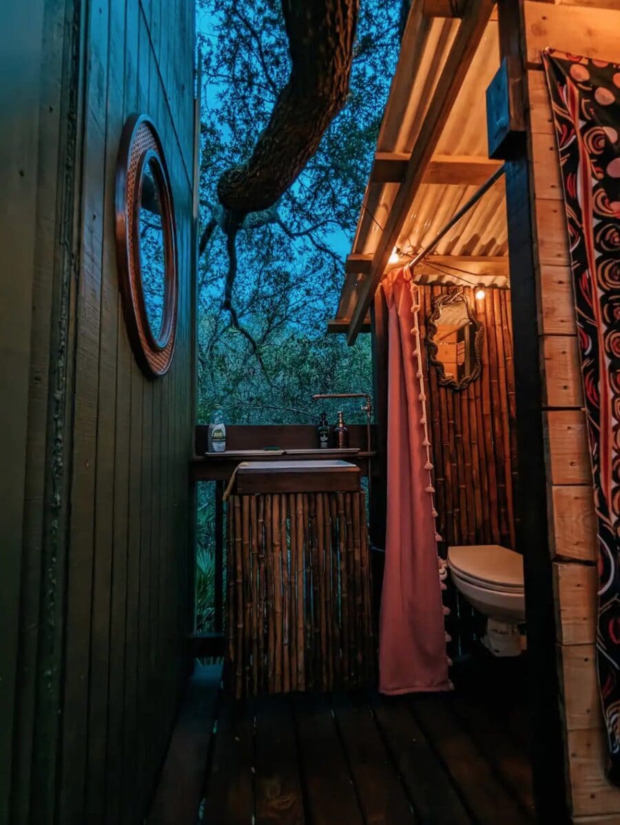 Tiny house bathroom with rustic wooden decor and a tree growing nearby.