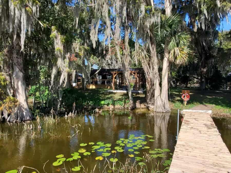 Lakefront Magic Wilderness Cabin – Leesburg, FL