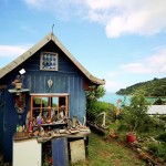 Man Cave Tiny House 009