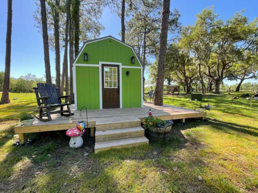 Green tiny house with a wooden deck in a lush forest setting.