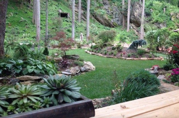 lush garden backyard in Asheville, NC