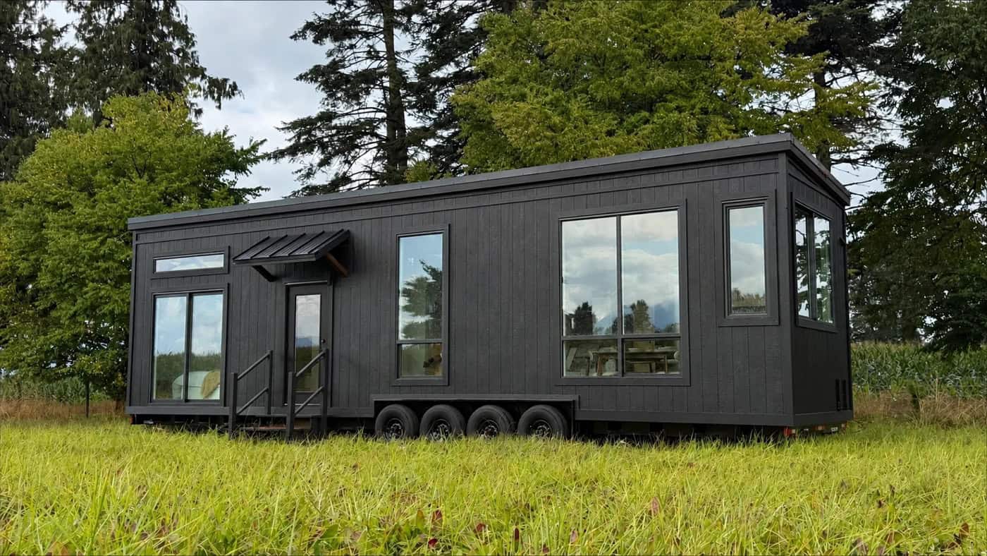 Black Mint Ventura park model tiny house parked in a grass field with evergreen trees behind it