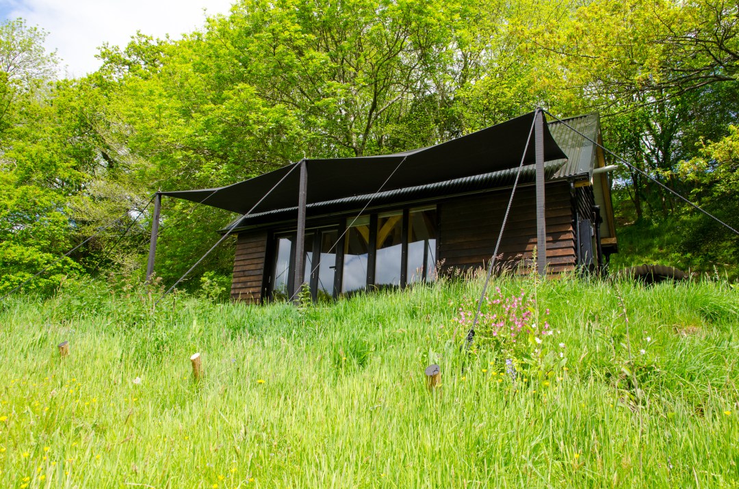 Modern and Minimalist Tiny Oak Cabin 001