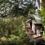 Mount Glorious Tiny Tree Cabin in Australia via Glamping Hub 001