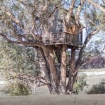 Multi-Level Treehouse in 110 ft. Eucalyptus Tree-002