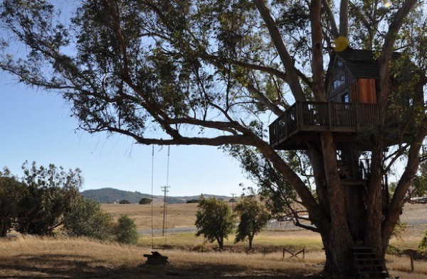Multi-Level Treehouse in 110 ft. Eucalyptus Tree-019