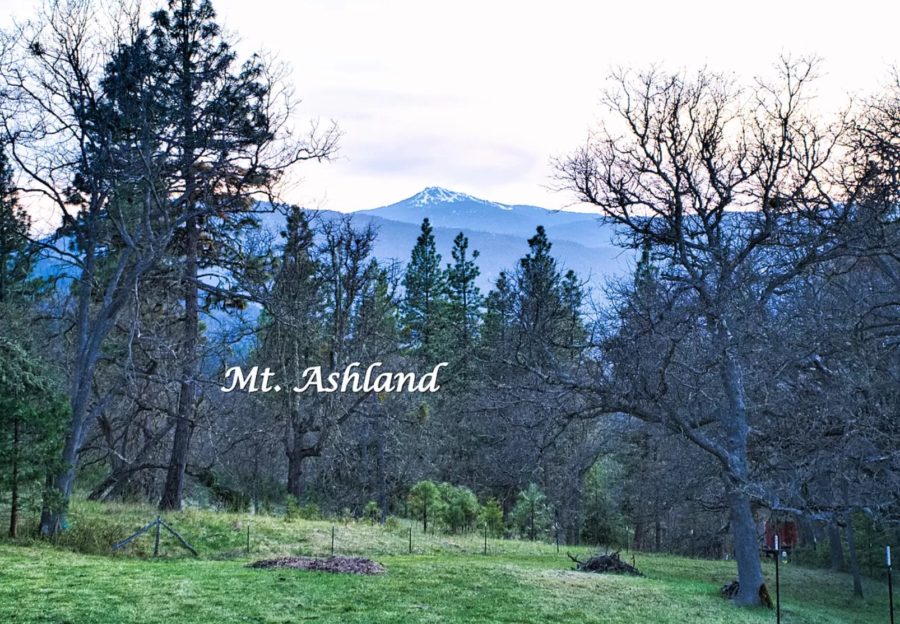 Multiple Tiny Houses on 5 Acres in Ashland OR via Zillow 0030