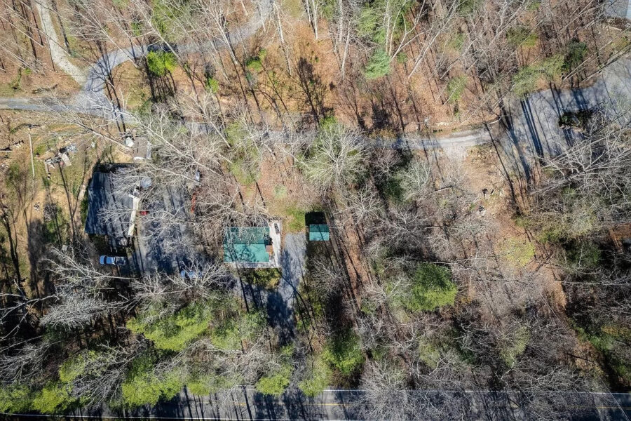 Cozy 714 sq. ft. cabin nestled among trees in a peaceful forest setting.