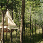O2 Treewalkers Treehouse: Newest Glamping Option