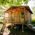 Off-Grid Homestead Cabin on 103 Acres 13