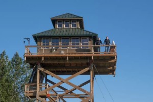 Off-Grid Lookout Tower Cabin in Tiller 001