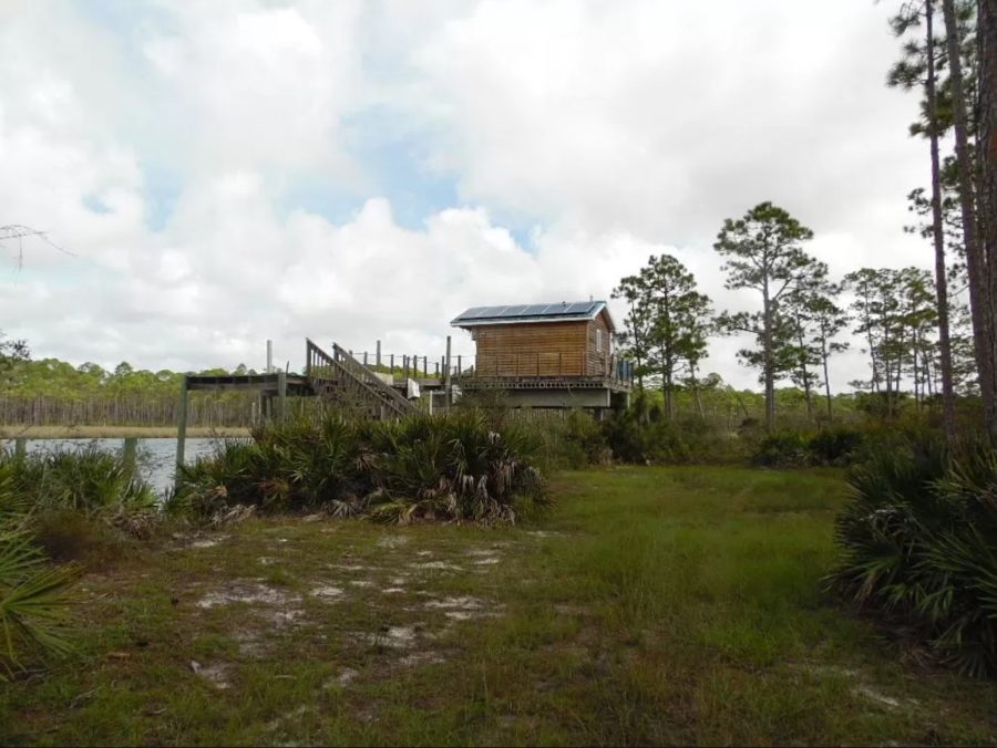 Off-Grid Tiny House With Boat Lifts Gulf Access On 6 Acres In Florida For Sale 001