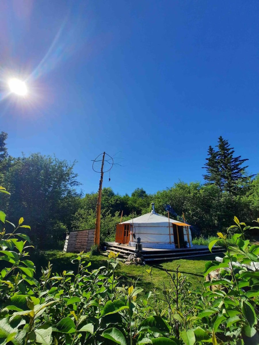 Orange Sunshine Secluded Yurt by the River 14