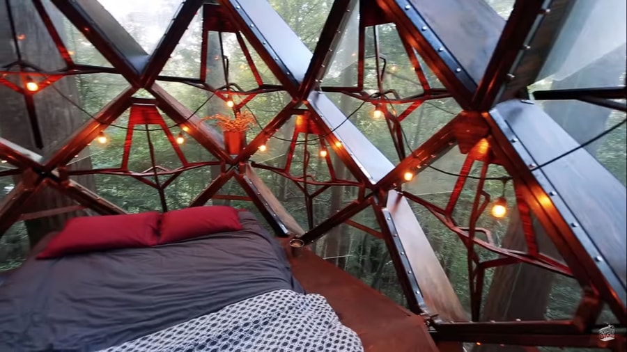 Pinecone Treehouse Suspended Among Redwoods 002