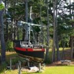 Pirate Ship in The Trees 001