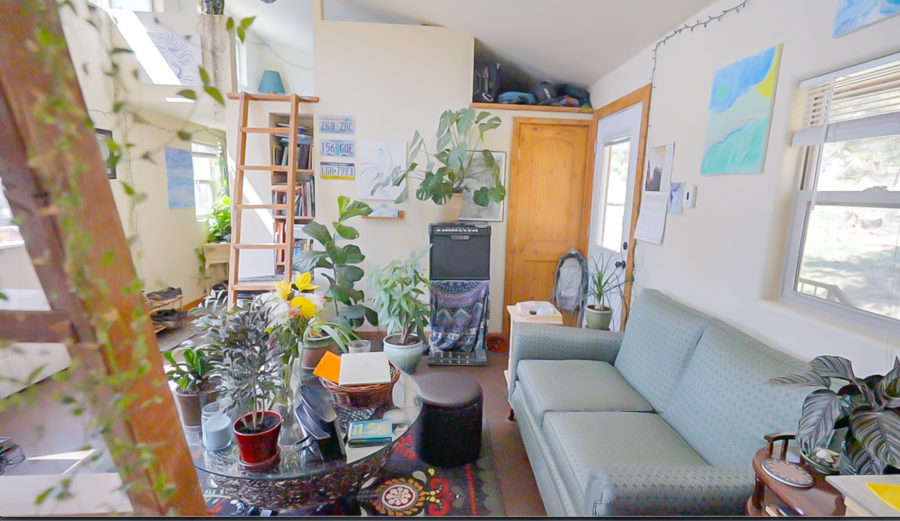 Plants and Paintings in His 3 Bedroom Tiny Home 4
