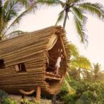 Playa Viva Treehouse Vacation in Mexico 001