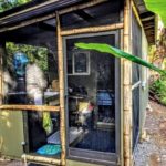 Rainforest tiny house with screened-in outdoor kitchen in Pepeekeo 001