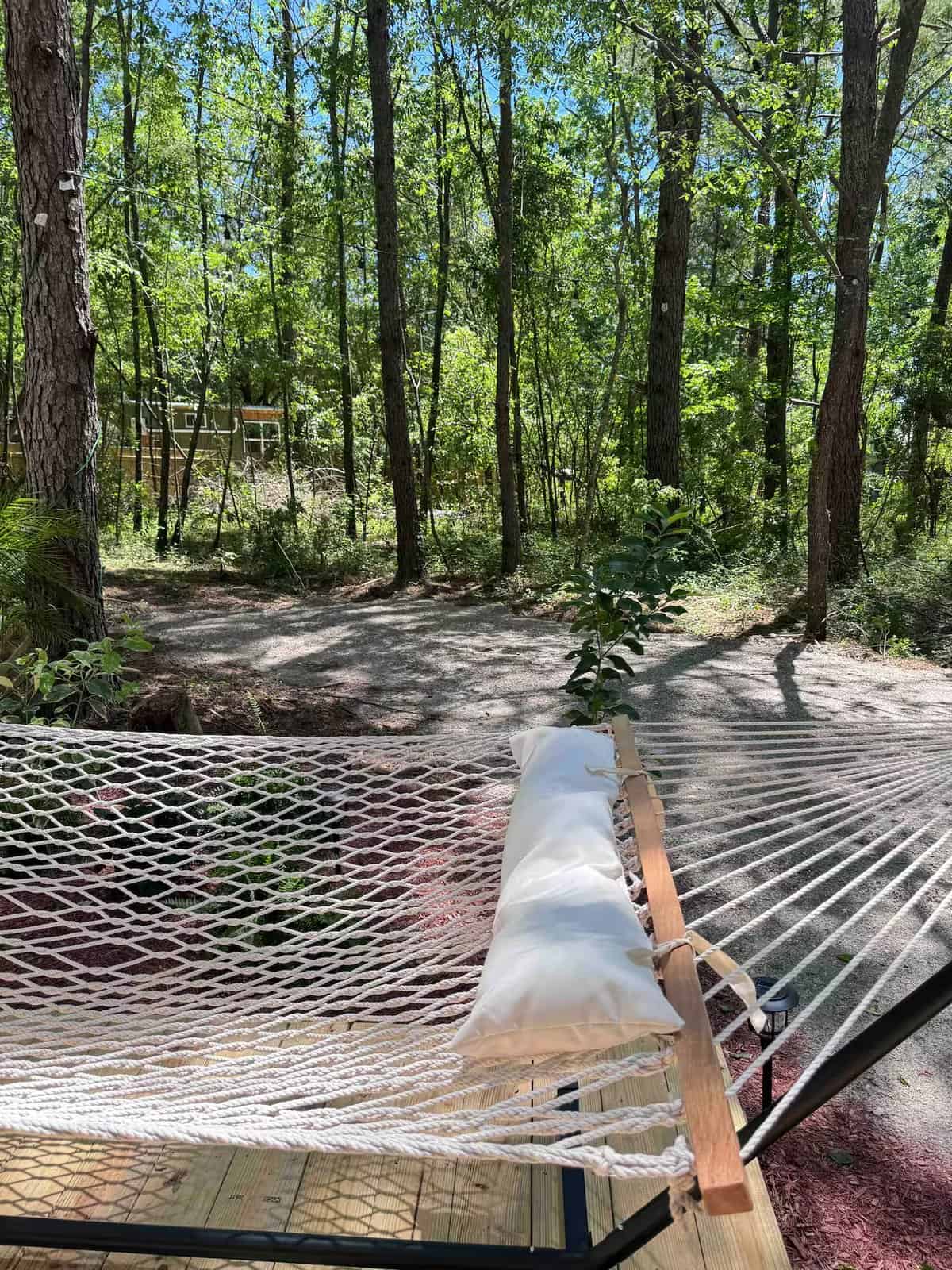 Hammock strung beside the Rasa tiny home overlooking the surrounding woods