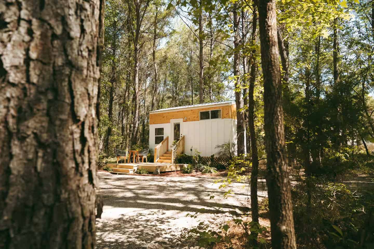 The Rasa tiny home framed by tall pines in the Florida woods