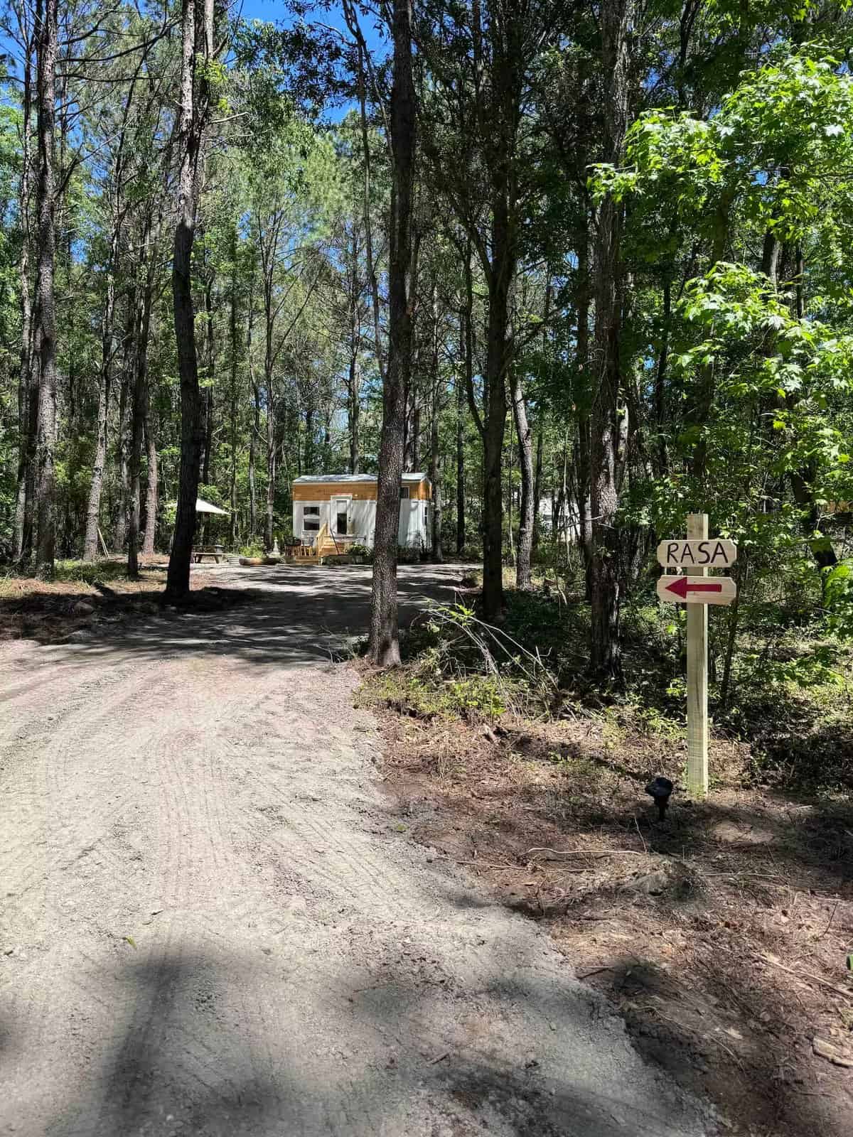Dirt drive into the wooded property with a RASA directional sign pointing toward the tiny home