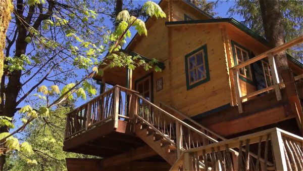 Realwood Tiny Homes Builds an Amazing Treehouse!