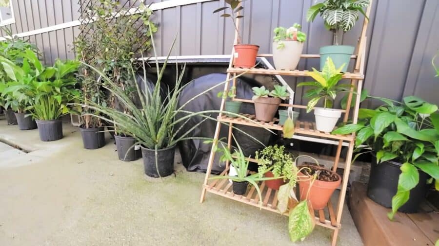 Potted plants and plant stand on the patio of a tiny house