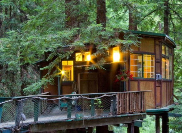 Redwood Treehouse 008