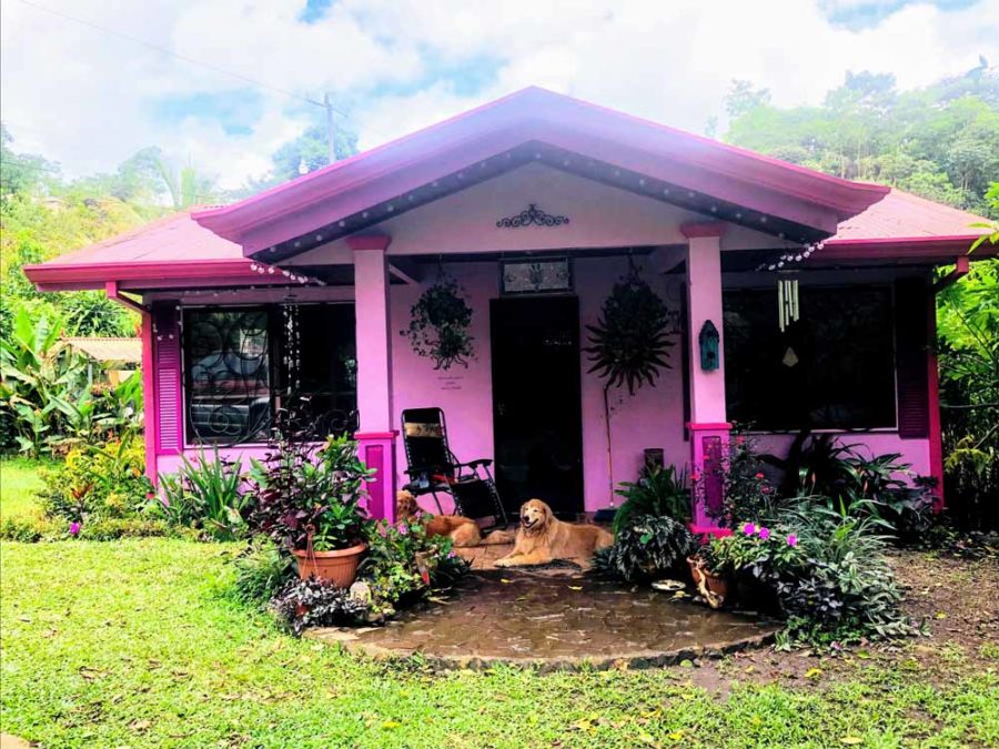 Robertas Small Cottage In Costa Rica After Remodel
